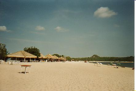 Bild Jungle Marathon 2008