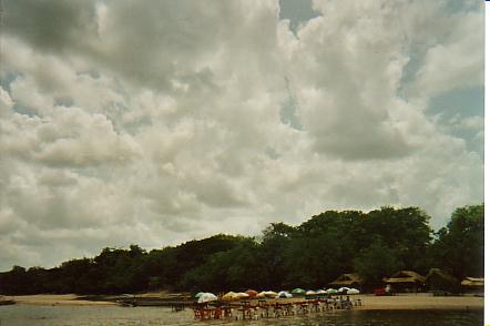 Bild Jungle Marathon 2008