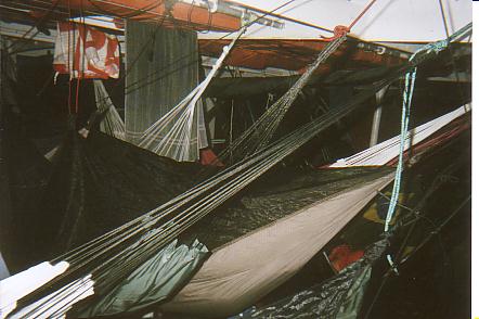 Bild Jungle Marathon 2008