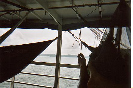 Bild Jungle Marathon 2008