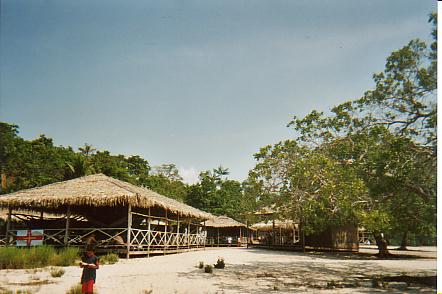 Bild Jungle Marathon 2008