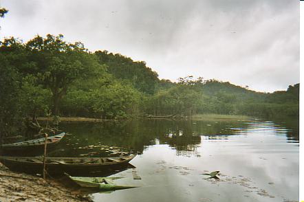 Bild Jungle Marathon 2008