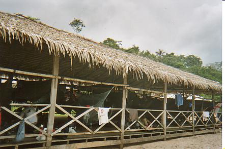 Bild Jungle Marathon 2008