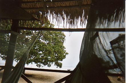 Bild Jungle Marathon 2008