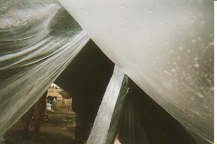 Bild Jungle Marathon 2008