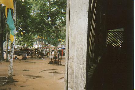 Bild Jungle Marathon 2008