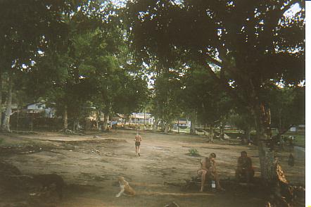 Bild Jungle Marathon 2008