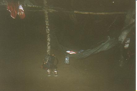 Bild Jungle Marathon 2008