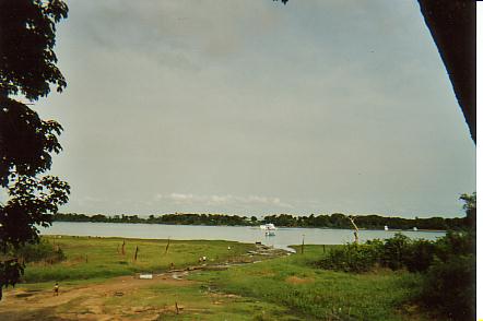 Bild Jungle Marathon 2008