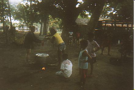 Bild Jungle Marathon 2008