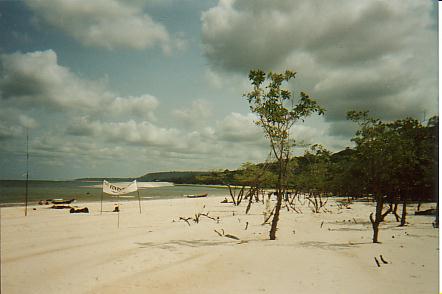 Bild Jungle Marathon 2008