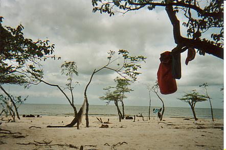 Bild Jungle Marathon 2008