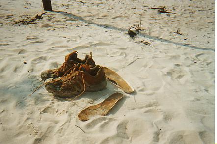 Bild Jungle Marathon 2008