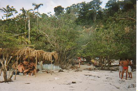 Bild Jungle Marathon 2008